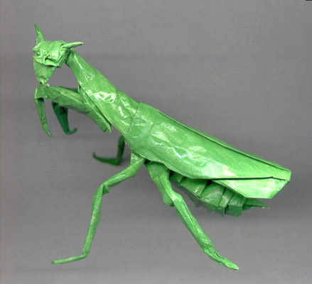Mantis