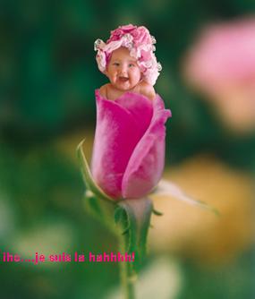 ma belle photo...