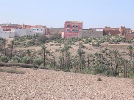 tanalt